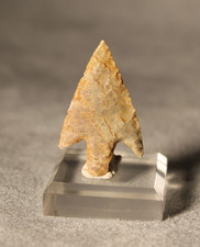 Préhistoire Néolithique