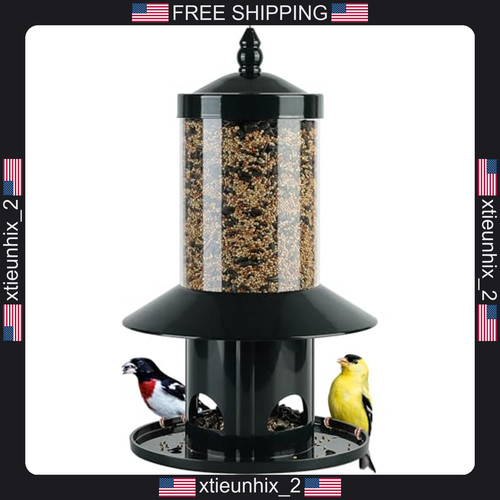 Bird feeder squirrel proof - bird,
