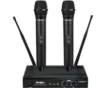 Ensemble 2 Microphones Sans