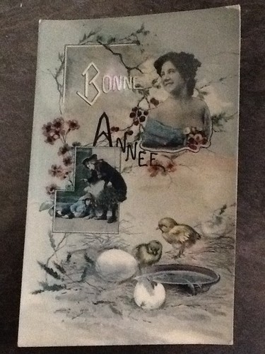 Glacee bonne annee femme - annee,