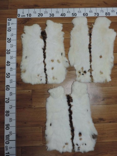Top xxl peau lapin - top,
