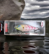 New Rapala Shallow Shad SSR07
