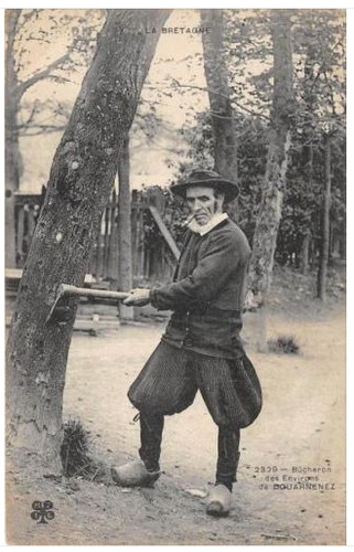 Cpa bucheron des environs - des,