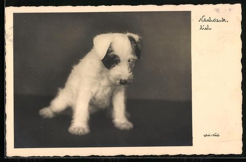 Carte postale réfléchie