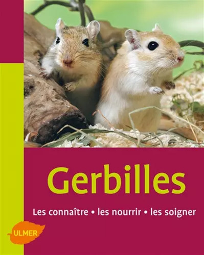 Les gerbilles connaître - les,