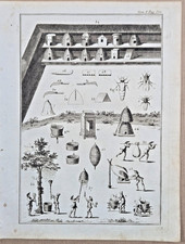Gravure 1798 / Apiculture 
