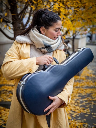 étui mandoline style - Étui,