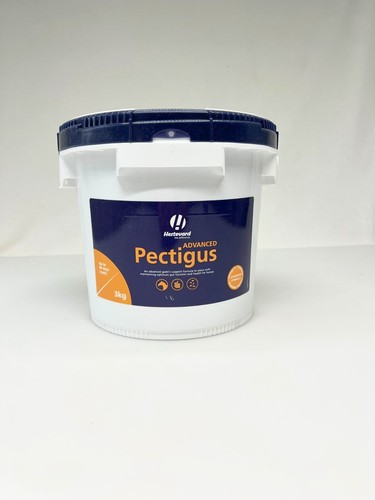 Hestevard pectigus advanced - hestevard,