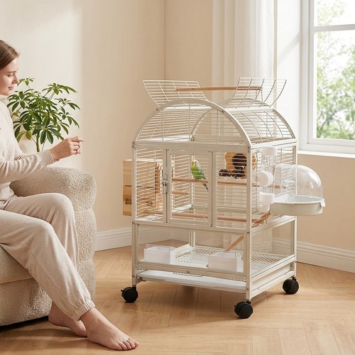 Cage oiseaux métal - oiseaux,