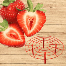 June Bearing Strawberry Plants + RED Strawberry Plant Supports