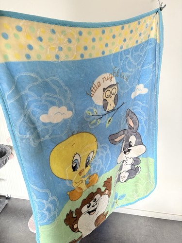 Plaid looney tunes titi - tunes,