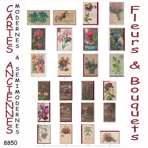 8850 cpsm cpa - 24, cartes