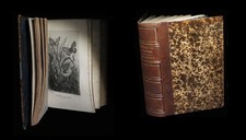 ENTOMOLOGIE LEPIDOPTEROLOGIE