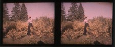 AUTOCHROME Stereo Lot x6 (4.5x10.7) Landscape and Characters