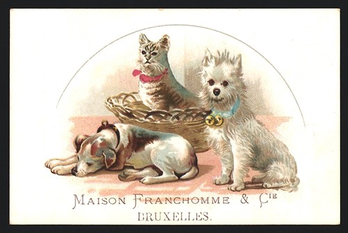 Image collection maison - image, de