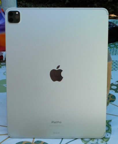 Apple ipad pro pouces - ipad, 12,9