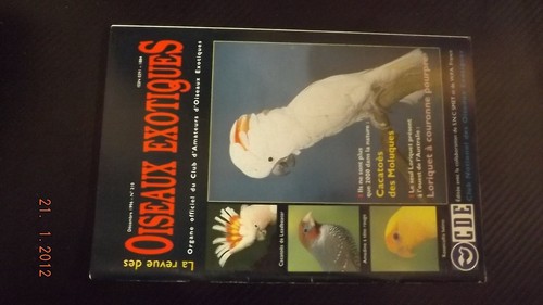 Revue oiseaux exotiques - oiseaux,