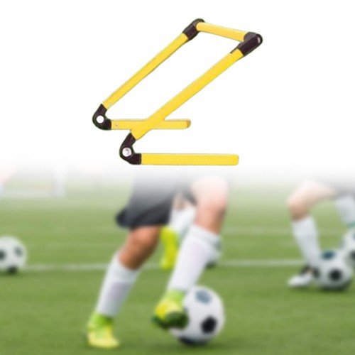 Agility hurdle - agility,