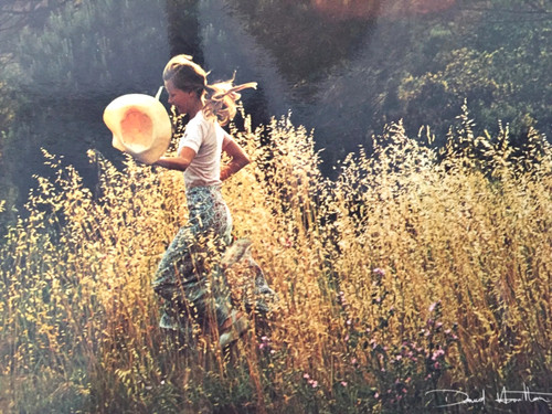 Carte postale david hamilton - postale,