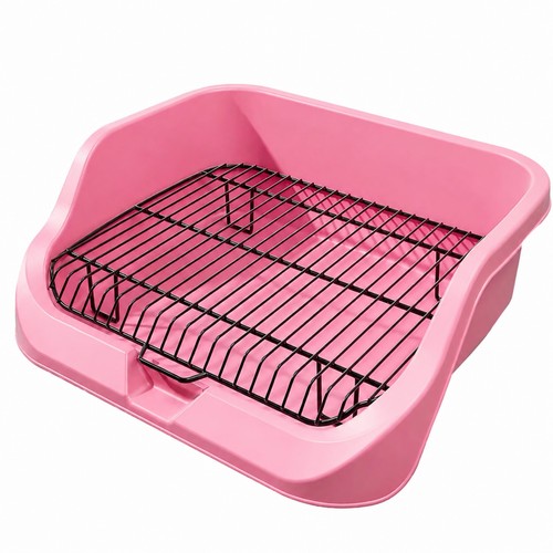 Toilette canine avec - toilette,