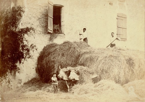 France landes circa 1880 - france,