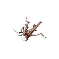 Aquarium Racine Déco