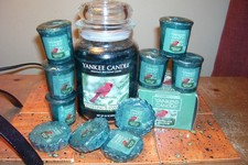 yankee candle 22oz JAR SPARKLING BALSAM + 6 VOTIVES + TEALIGHTS + 4 TARTS