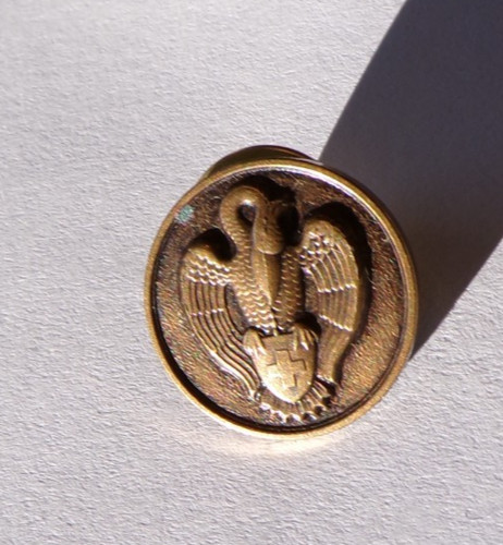 Insigne militaire pin bronze - pin's,