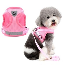 Harnais pour Petit Chien