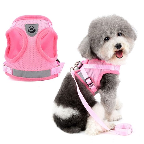 Harnais pour petit chien - harnais,