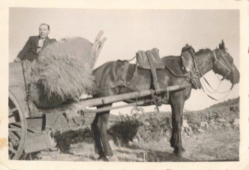Ancienne photographie scene - photographie, de