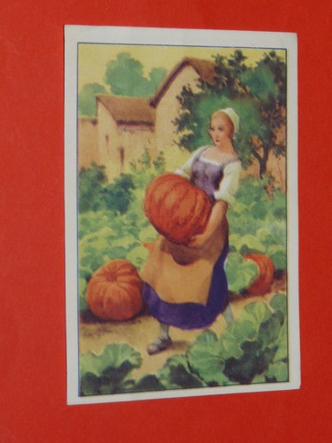 Chromo 1955 1960 chocolat - chromo,