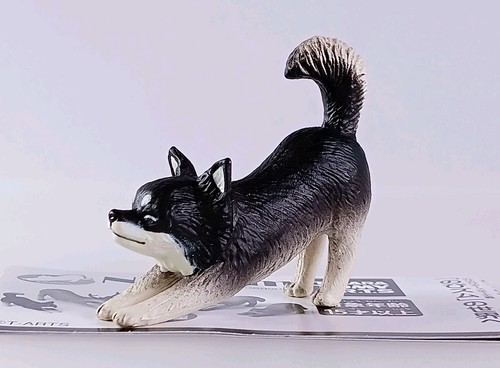 Chihuahua figurine mascotte - chihuahua,