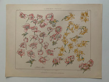 J.HABERT-DYS PLANCHE