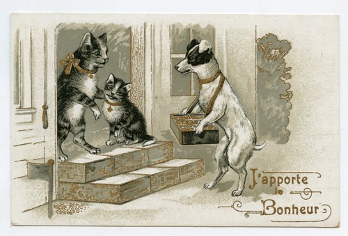 Chats chien humanisés - chats, et