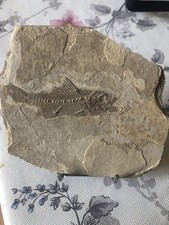 Vend Collection De Minéraux L