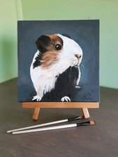 Cochon d'Inde Peinture