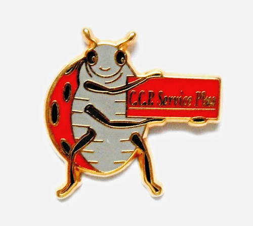 Rnt pin s - rnt, coccinelle