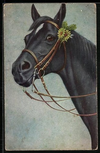 Cheval noir avec fleurs jaunes