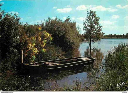 Carte postale sologne - postale, 41