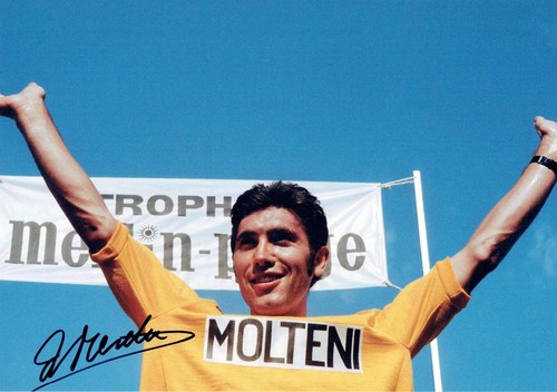Eddy merckx signed autograph - merckx,