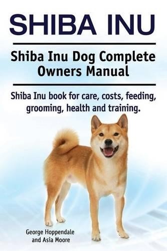 George hoppenda shiba inu - hoppenda,