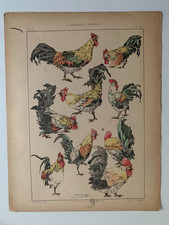 J.HABERT-DYS PLANCHE