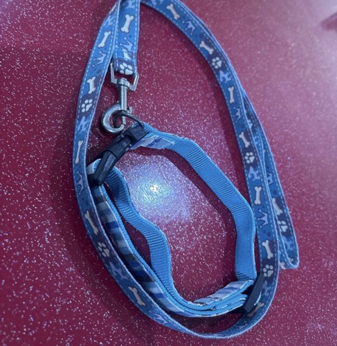 Lot collier laisse - collier, chien