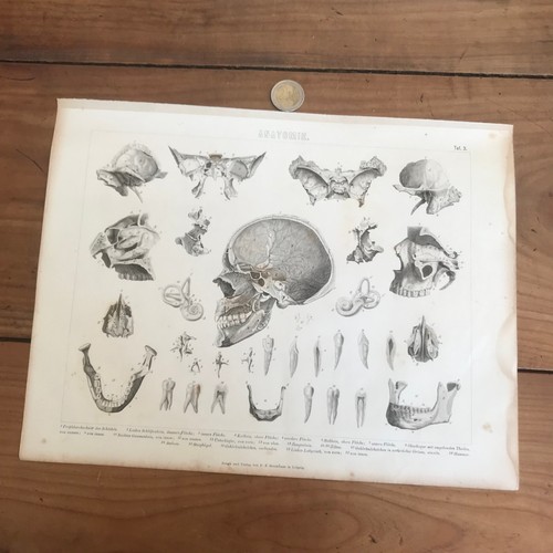Gravure ancienne 19eme - ancienne,