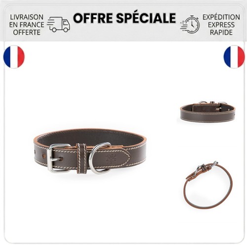 Collier chien cuir buffle - cuir, de