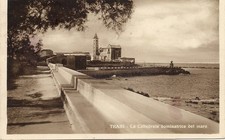 C7869- Bari, TRANI The Dominating Cathedral of the Sea, photo Conte Romano, 1936