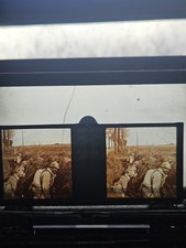 plaques stéréoscopiques en