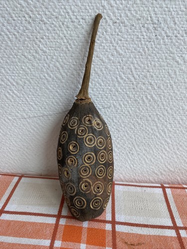 Ancien fruit baobab - ancien,
