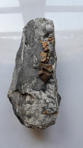 Pyrite sur schiste viela - schiste,